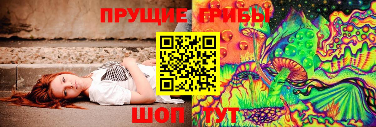 Галлюциногенные грибы Psilocybe Темрюк