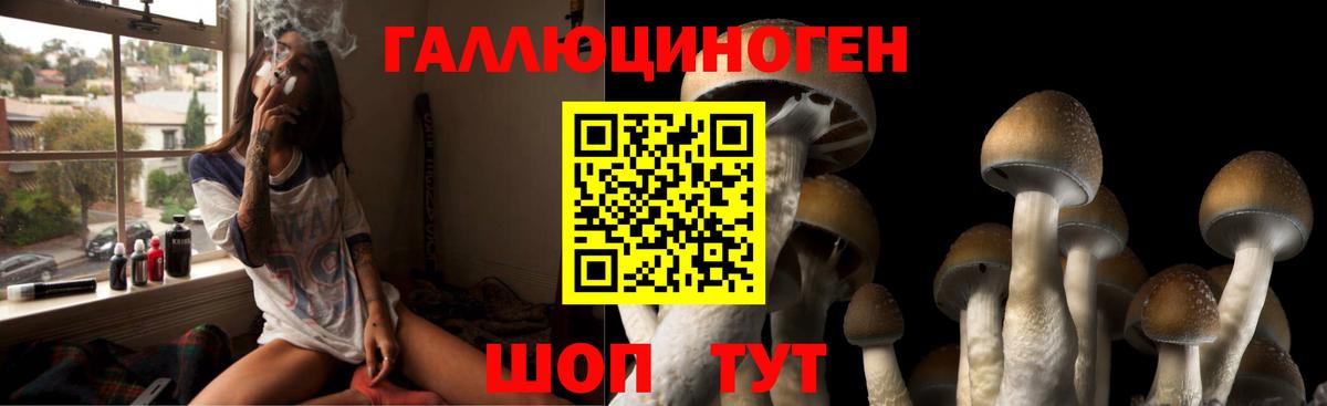 Псилоцибиновые грибы Magic Shrooms  Вход с VPN  дарнет шоп  Темрюк  Псилоцибиновые грибы GOLDEN TEACHER 