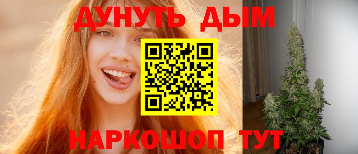 Конопля SATIVA & INDICA  МАРИХУАНА семена  Вход с VPN  МАРИХУАНА OG Kush  Темрюк 